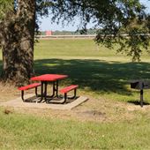 Horace M. Downs Park