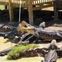 Gator's and Friends Park