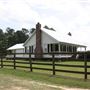Holly Hills