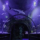 Shreveport Aquarium