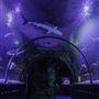 Shreveport Aquarium