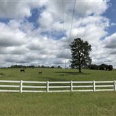 Horse Farm / Home Minden